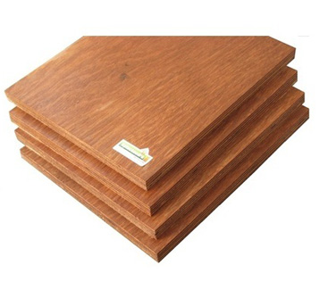 Plywood in Dhanbad